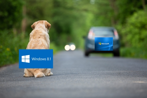 Microsoft abbandona Windows 8.1
